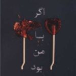 خرید کتاب اگر با من بود اثر لورا نولین از نشر نارنگی ترجمه فریال افتخاری