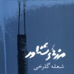 خرید کتاب مرزهای شناور اثر شعله گلرخی نشر حوض نقره