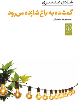 خرید کتاب گمشده به باغ شازده می رود اثر شادی عنصری از نشر نی