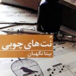 خرید کتاب نت های چوبی اثر بیتا نگهبان از نشر برکه خورشید