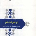 خرید کتاب در معرفت شعر اثر سیروس شمیسا نشر سخن
