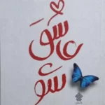 خرید کتاب عاشق شو اثر نرجس شکوریان فرد نشر عهدمانا