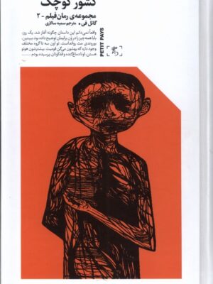 خرید کتاب کشور کوچک اثر گائل فیل ترجمه سمیه سالاری نشر الین