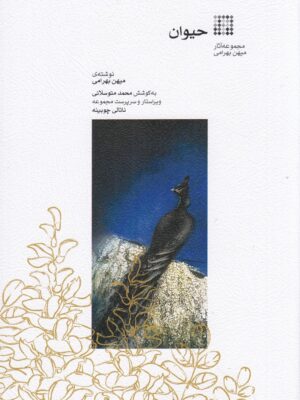 خرید کتاب حیوان اثر میهن بهرامی نشر ماهور