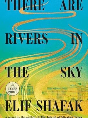 خرید کتاب زبان اصلی There are Rivers in the Sky