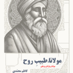خرید کتاب مولانا طبیب روح اثر کاظم محمدی نشر نجم کبری