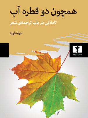خرید کتاب همچون دو قطره آب اثر جواد فرید نشر نیلوفر
