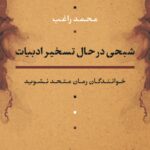خرید کتاب شبحی در حال تسخیر ادبیات اثر محمد راغب نشر نی