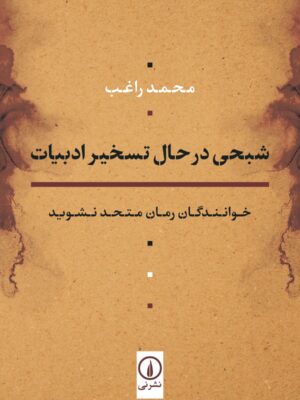 خرید کتاب شبحی در حال تسخیر ادبیات اثر محمد راغب نشر نی