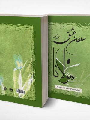 خرید کتاب سلطان عشق (مولانا) اثر حسین پشنگ نشر فردوس