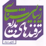 خرید کتاب زیبایی شناسی ترفندهای بدیع اثر دکتر ایوب امیدی نشر میترا
