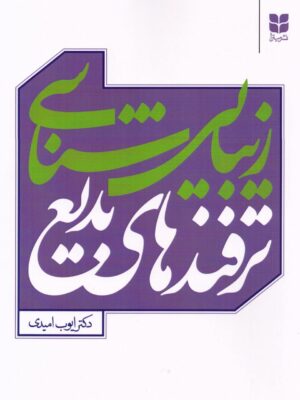 خرید کتاب زیبایی شناسی ترفندهای بدیع اثر دکتر ایوب امیدی نشر میترا