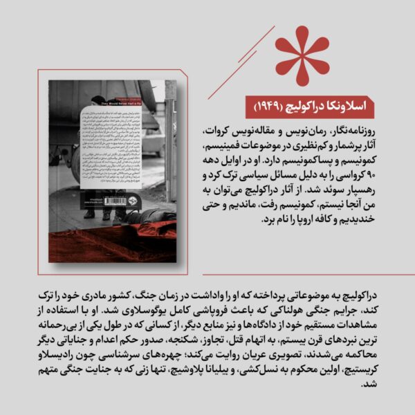 خرید کتاب آزارشان به مورچه هم نمی رسید اثر اسلاونکا دراکولیچ نشر خوب - تصویر 2