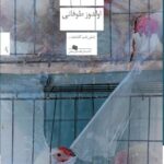 خرید کتاب دخمه اثر اولدوز طوفانی نشر چشمه