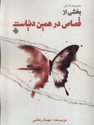 خرید کتاب بخشی از قصاص در همین دنیاست اثر مهسان بخشی نشر نیستان