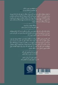 خرید کتاب سیمای پیر در ادبیات عرفانی اثر دکتر ابراهیم قیصری نشر سرزمین - تصویر 2