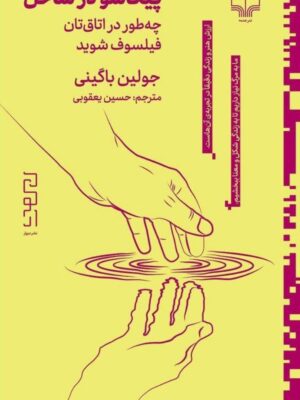 خرید کتاب پیکاسو در ساحل اثر جولین باگینی نشر دیوار
