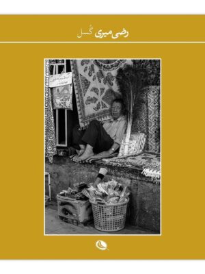 خرید کتاب گسل اثر رضا میری نشر نظر
