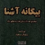 خرید کتاب بیگانه آشنا (مجموعه داستان های کوتاه) اثر نیلوفر سعید
