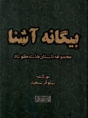 خرید کتاب بیگانه آشنا (مجموعه داستان های کوتاه) اثر نیلوفر سعید