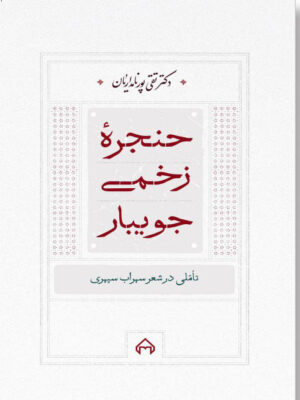 خرید کتاب حنجره زخمی جویبار اثر دکتر تقی پورنامداریان نشر سخن