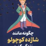 خرید کتاب چگونه مانند شازده کوچولو زندگی کنیم از نشر گوتنبرگ