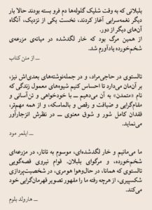 خرید کتاب حاجی مراد اثر لئو تالستوی (تولستوی) نشر ناهید - تصویر 2