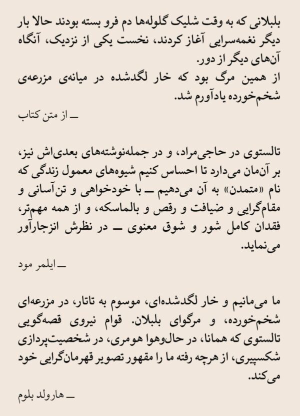 خرید کتاب حاجی مراد اثر لئو تالستوی (تولستوی) نشر ناهید - تصویر 2