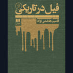 خرید کتاب فیل در تاریکی اثر قاسم هاشمی نژاد نشر هرمس