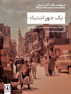 خرید کتاب یک جور اشتباه اثر یوسف ادریس نشر نی