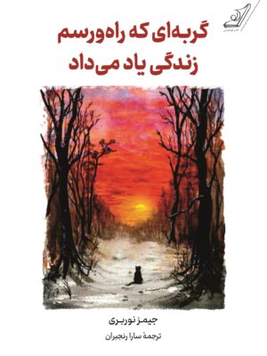 خرید کتاب گربه ای که راه و رسم زندگی یاد می داد اثر جیمز نوربری نشر کوله پشتی