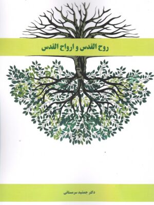 خرید کتاب روح القدس و ارواح القدس اثر دکتر جشمید سرمستانی