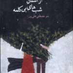 خرید کتاب از آسمان شب های بی کلمه اثر مصطفی علیپور نشر بامداد