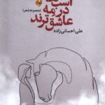 خرید کتاب اسب ها در مه عاشق ترند اثر علی احسانی زاده نشر بامداد