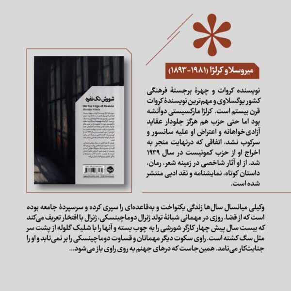 خرید کتاب شورش تک نفره اثر میروسلاو کرلژا نشر خوب - تصویر 2