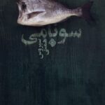 خرید کتاب سونامی اثر سیروس همتی نشر نیستان