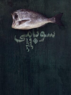 خرید کتاب سونامی اثر سیروس همتی نشر نیستان