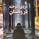 خرید کتاب مردی سوخته در زمستان اثر پیت زکریا نشر تندیس