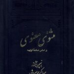 خرید کتاب مثنوی معنوی (2 جلدی) اثر عبدالکریم سروش نشر علمی فرهنگی
