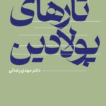 خرید کتاب تارهای پولادین اثر دکتر مهدی رضائی نشر میترا