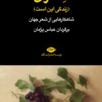 خرید کتاب سلاوی (زندگی این است) اثر عباس پژمان نشر نگاه