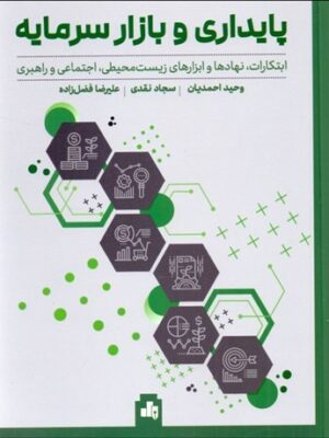خرید کتاب پایداری و بازار سرمایه اثر وحید احمدیان نشر بورس