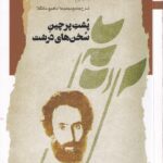 کتاب پشت پرچین سخن های درشت جلد دوم اثر محمدحسین شامخی نشر نگاه معاصر