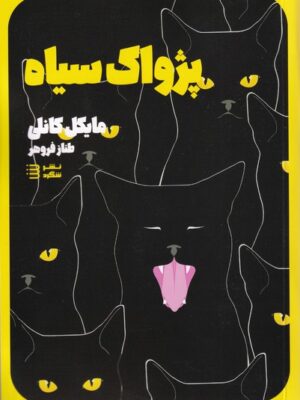 کتاب پژواک سیاه جلد اول مجموعه کارآگاه هری بوش اثر مایکل کانلی نشر شگرد