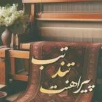 خرید کتاب تب تند پیراهنت اثر زهرا گوبانی نشر شقایق