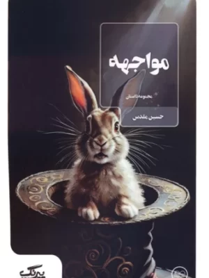 خرید کتاب مجموعه داستان مواجهه اثر حسین مقدس نشر عینک