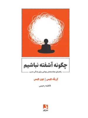 خرید کتاب چگونه آشفته نباشیم اثر کریگ هیس نشر ذهن آویز
