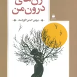 خرید کتاب زن های درون من اثر پروین چمن خورشید نشر فکرآذین