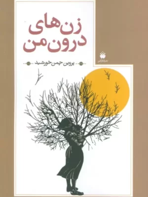 خرید کتاب زن های درون من اثر پروین چمن خورشید نشر فکرآذین