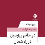 خرید کتاب دو خانم ریزه میزه در راه شمال اثر پیر نوت نشر قطره